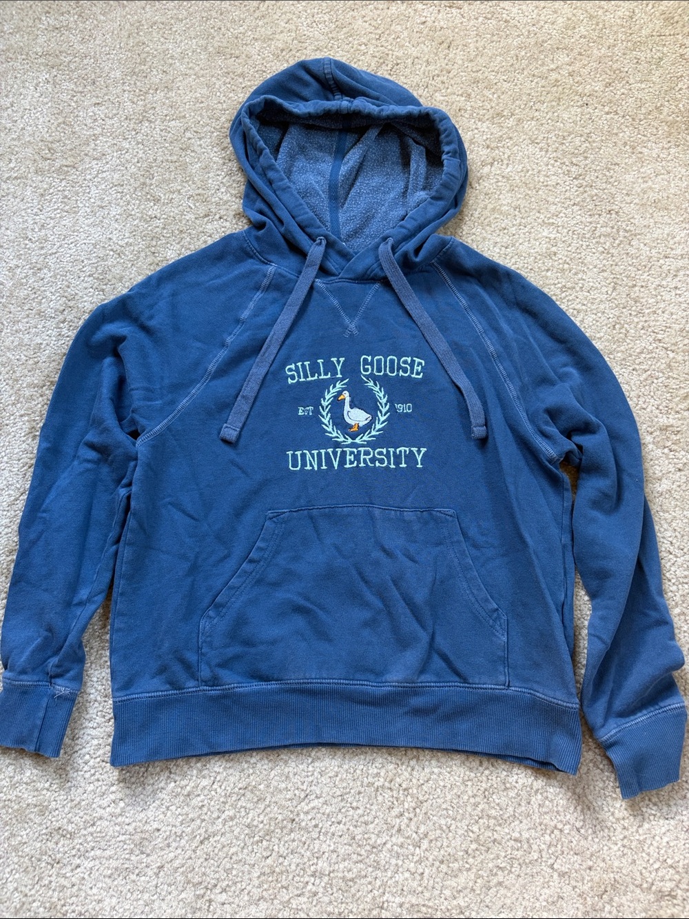 Silly Goose University Old Navy Hoodie
